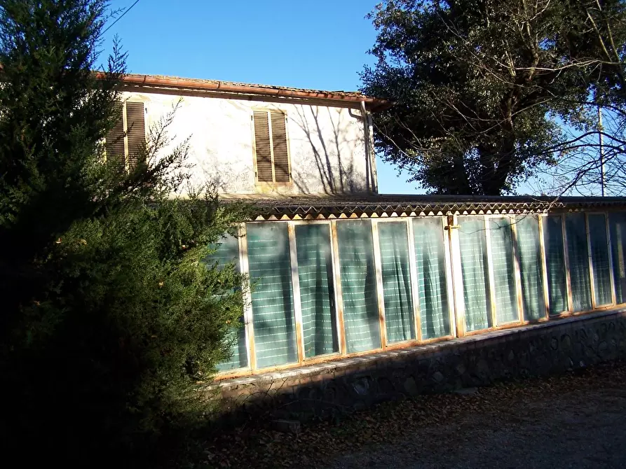 Immagine 3 di Albergo/B&B/Residence in vendita  a Campagnatico