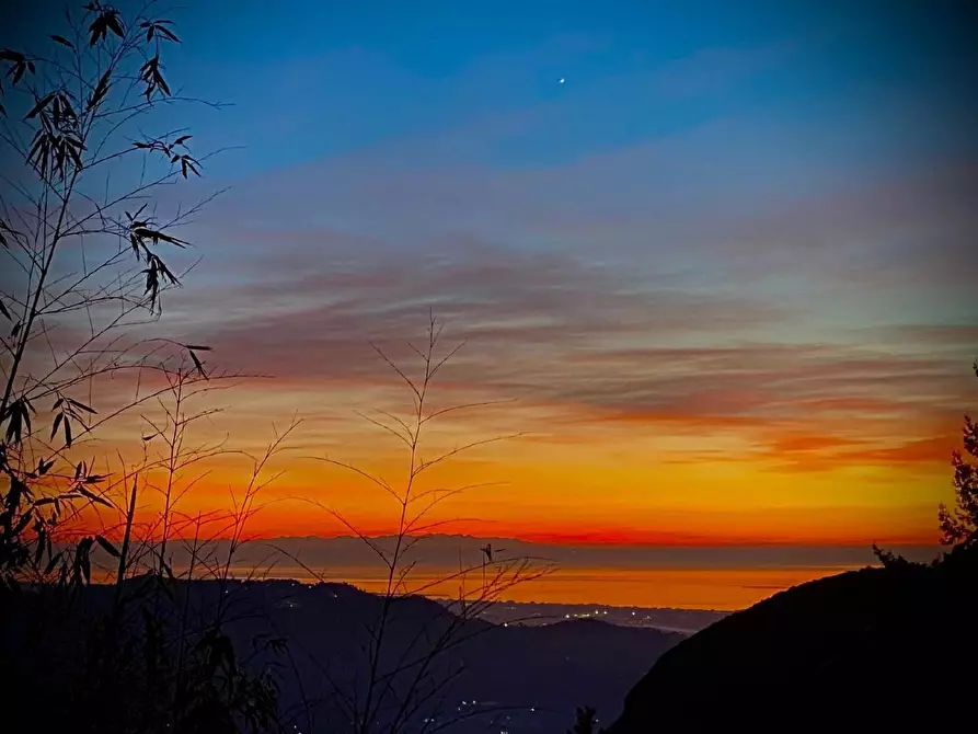 Immagine 31 di Terratetto in vendita  a Camaiore