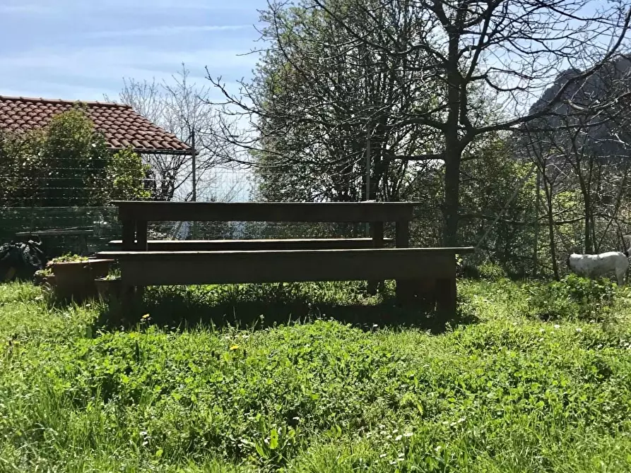 Immagine 30 di Terratetto in vendita  a Camaiore