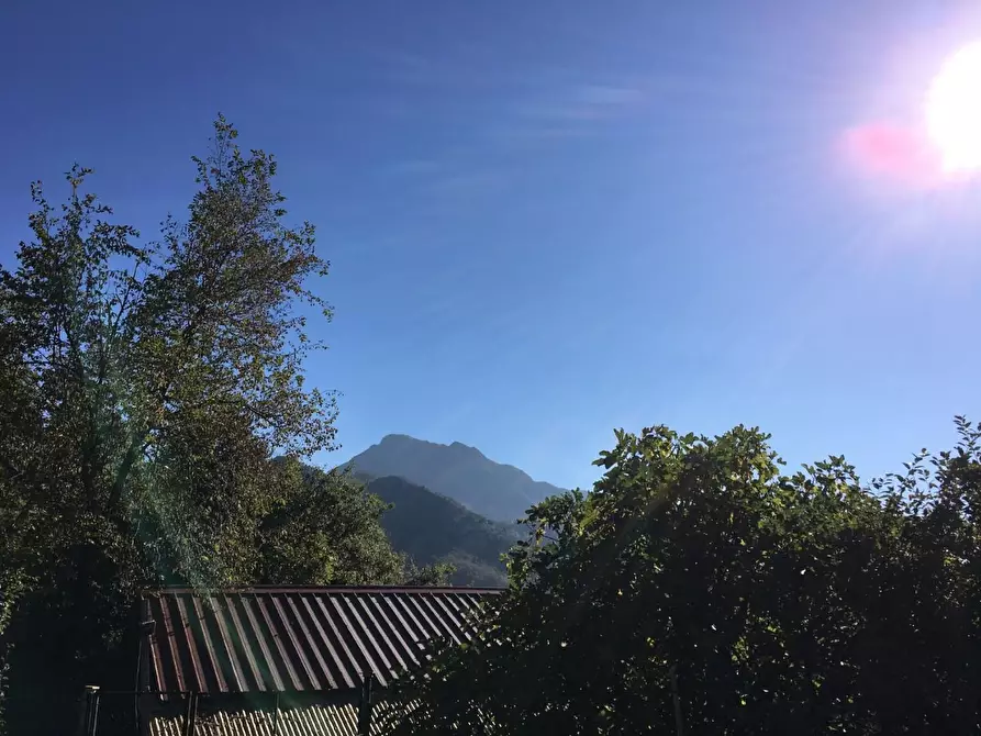 Immagine 3 di Terratetto in vendita  a Camaiore