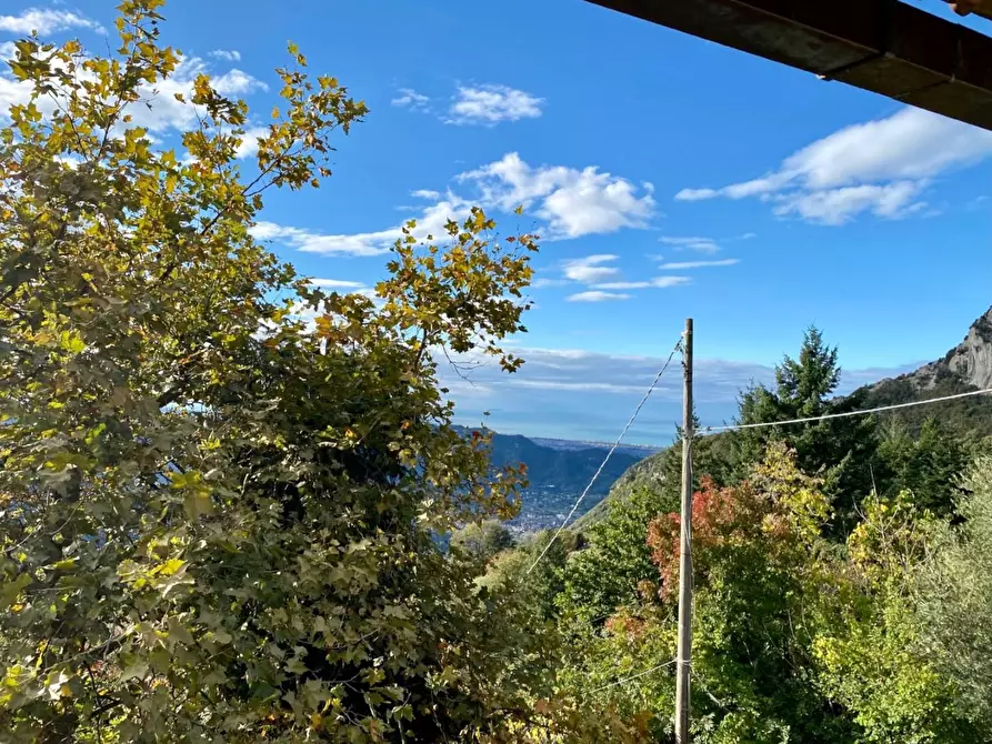 Immagine 14 di Terratetto in vendita  a Camaiore