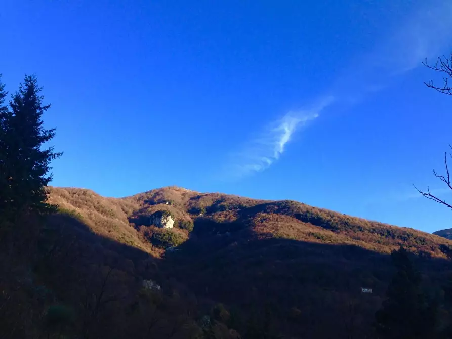 Immagine 4 di Terratetto in vendita  a Camaiore