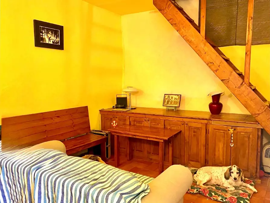 Immagine 11 di Terratetto in vendita  a Camaiore