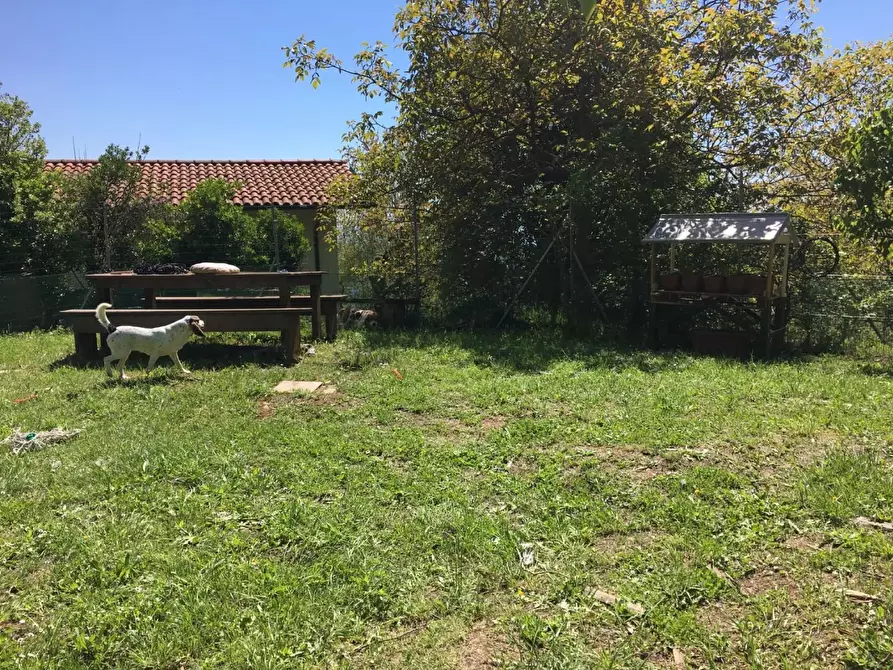 Immagine 26 di Terratetto in vendita  a Camaiore