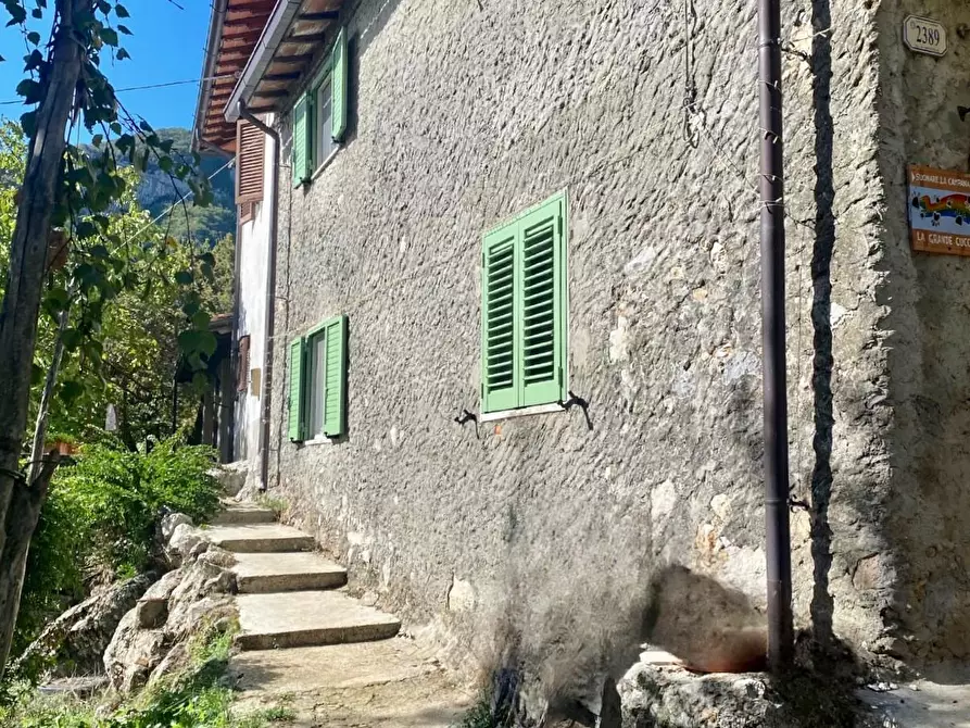 Immagine 2 di Terratetto in vendita  a Camaiore