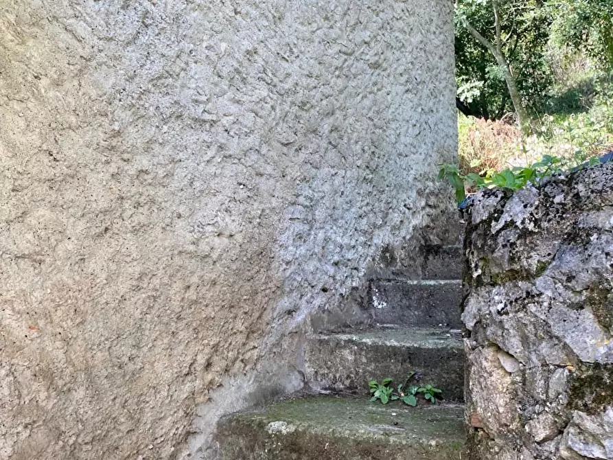 Immagine 8 di Terratetto in vendita  a Camaiore