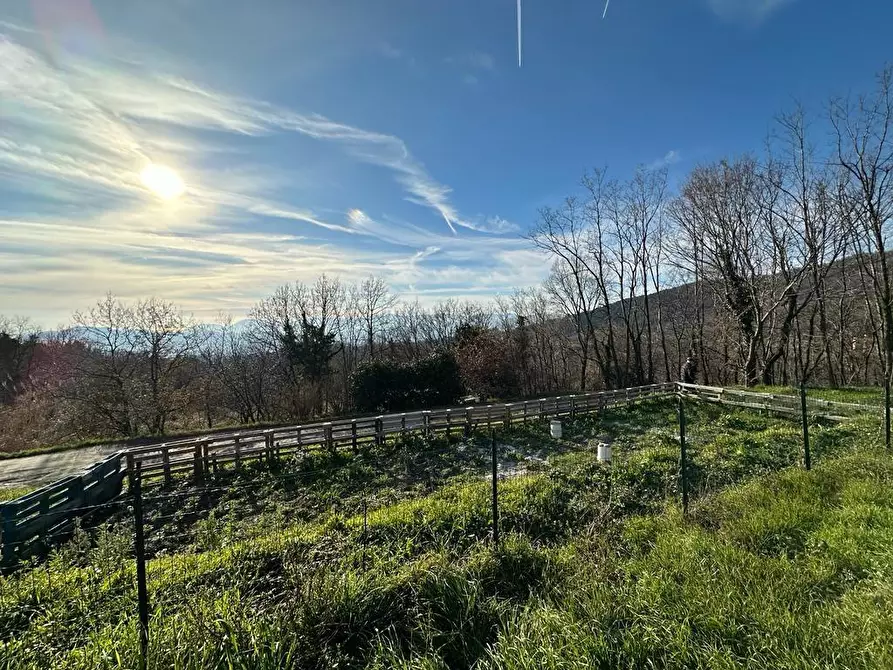 Immagine 34 di Villa in vendita  a Sarzana