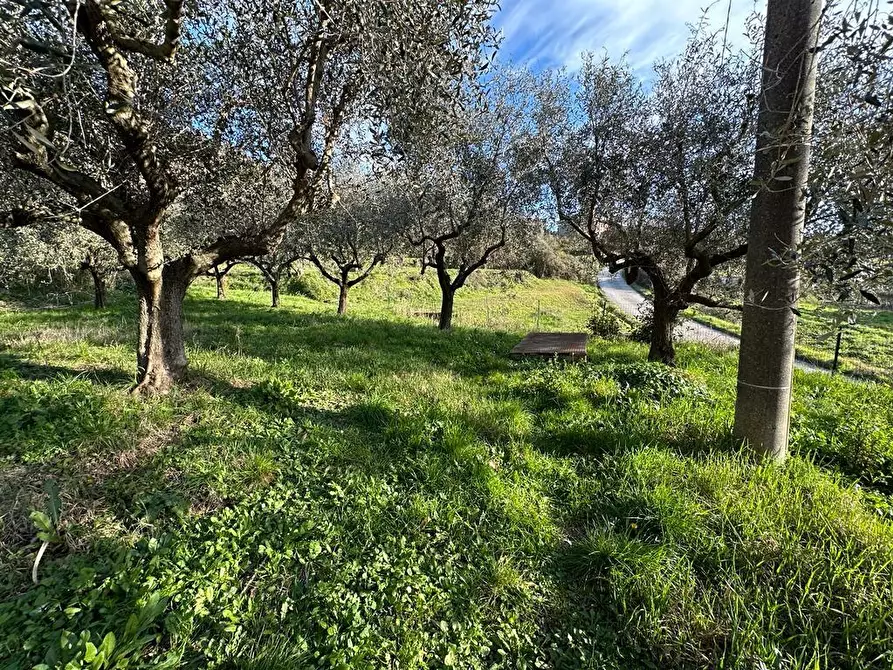 Immagine 62 di Villa in vendita  a Sarzana
