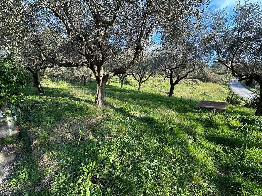 Immagine 63 di Villa in vendita  a Sarzana