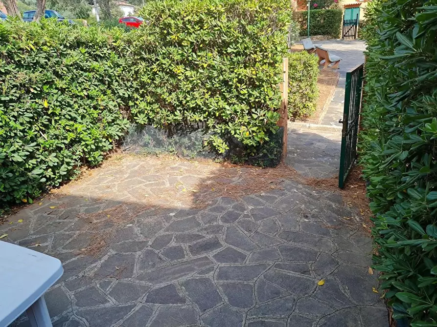 Immagine 3 di Appartamento in affitto  a Rio Marina