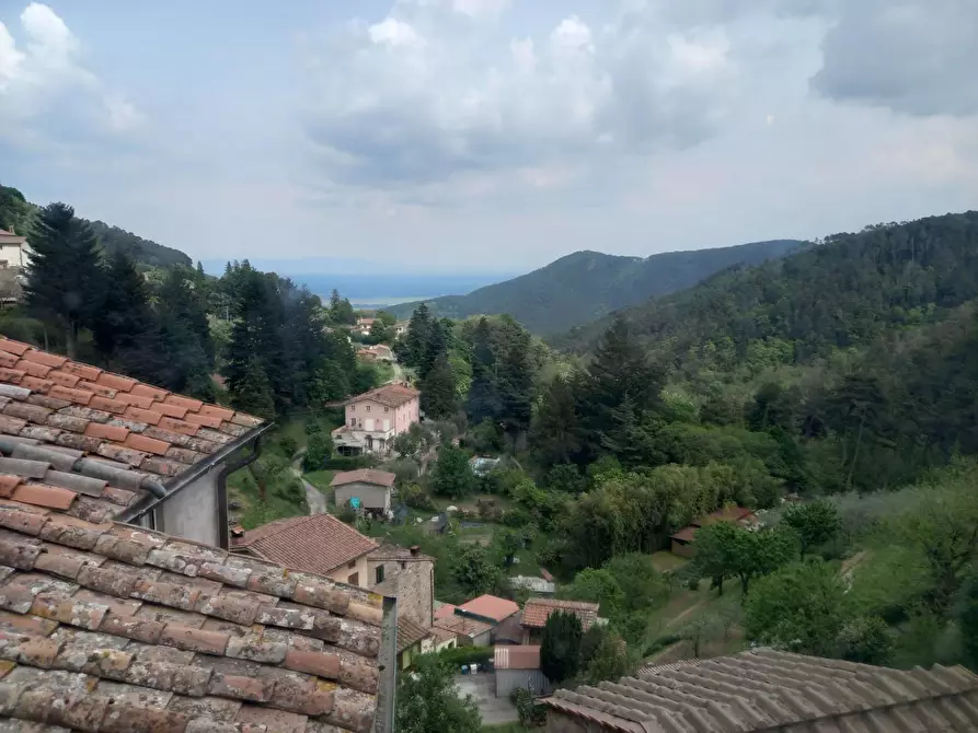 Immagine 2 di Terratetto in vendita  a Capannori