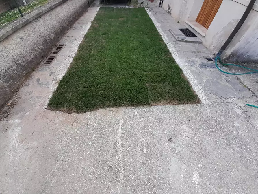 Immagine 8 di Appartamento in affitto  a Vecchiano