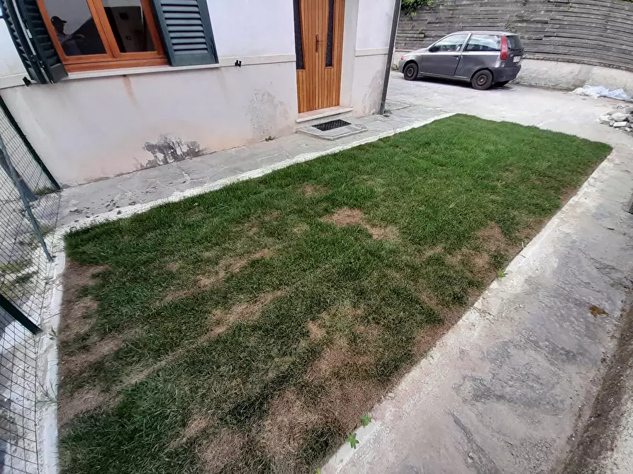 Immagine 9 di Appartamento in affitto  a Vecchiano