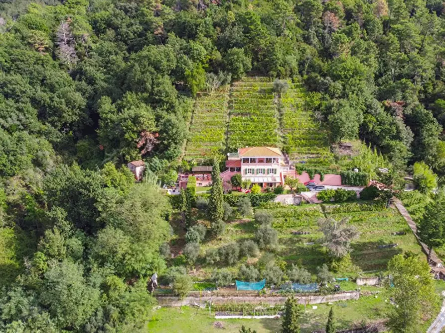 Immagine 25 di Villa in vendita  a Carrara