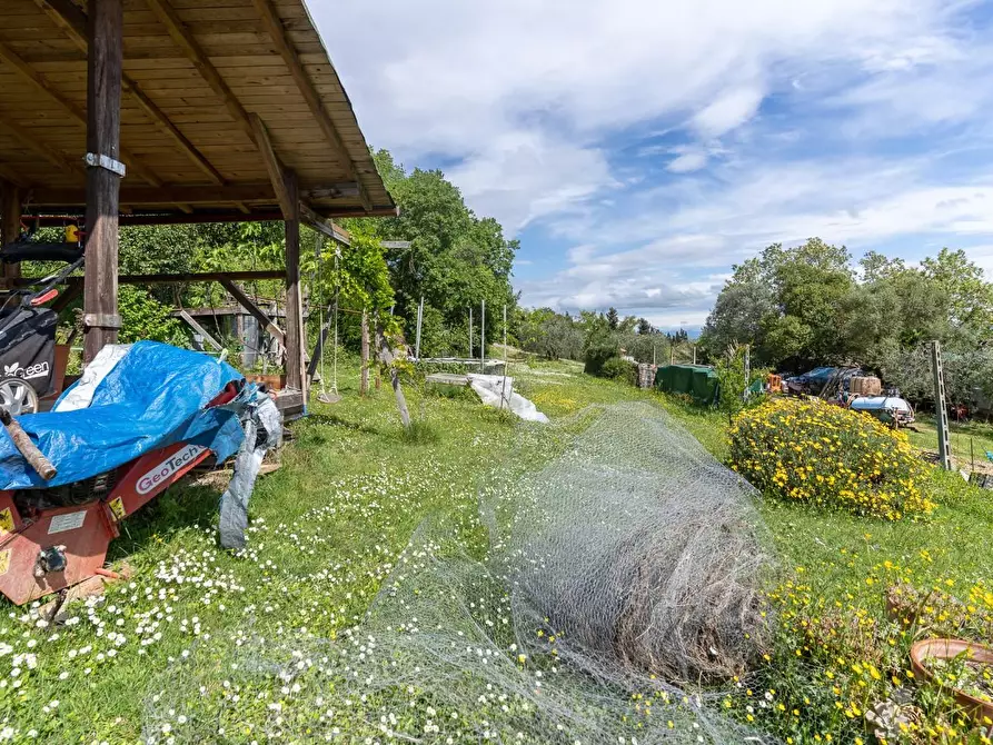 Immagine 50 di Appartamento in vendita  a Castelfiorentino