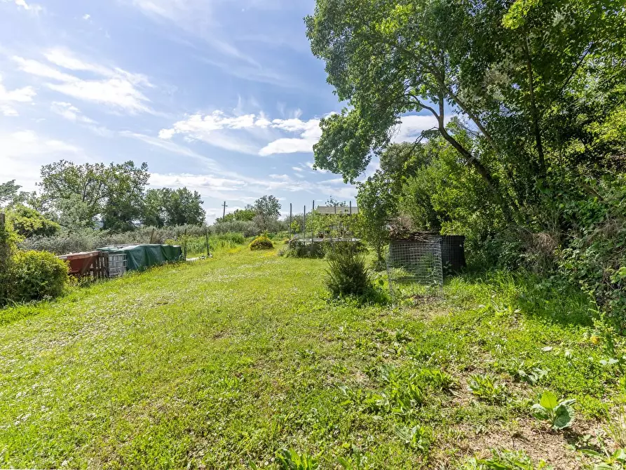 Immagine 46 di Appartamento in vendita  a Castelfiorentino