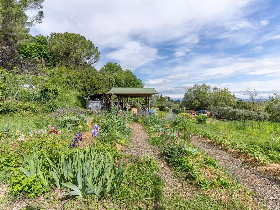 Immagine 51 di Appartamento in vendita  a Castelfiorentino