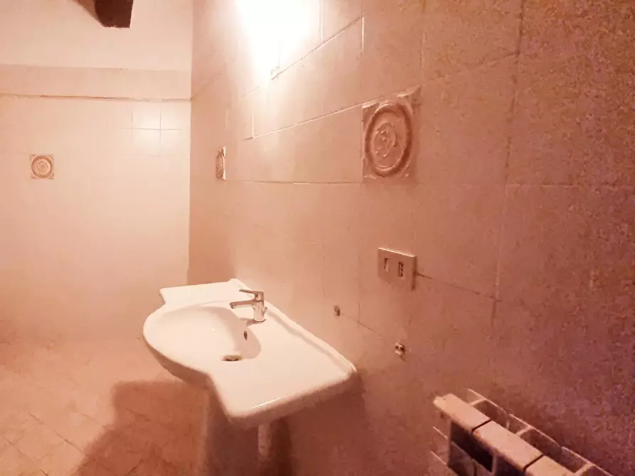 Immagine 40 di Appartamento in affitto  a Collesalvetti