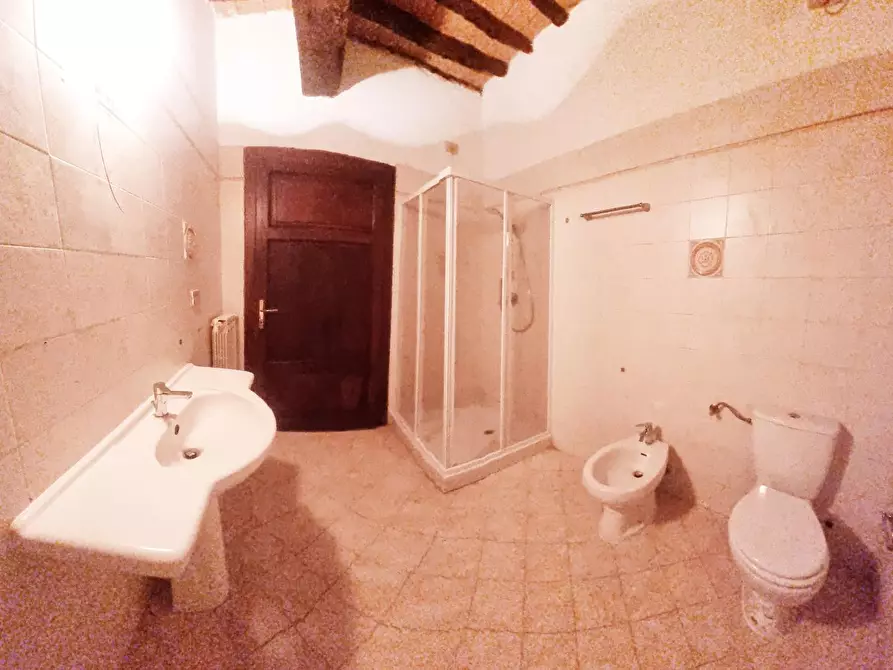 Immagine 39 di Appartamento in affitto  a Collesalvetti