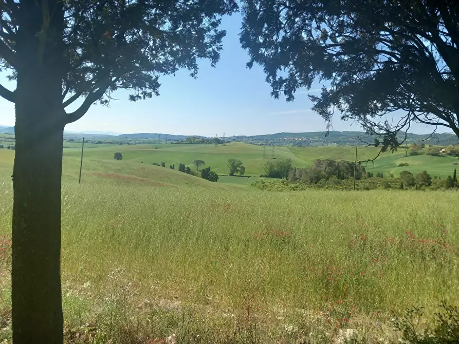 Immagine 56 di Terratetto in vendita  a Rosignano Marittimo