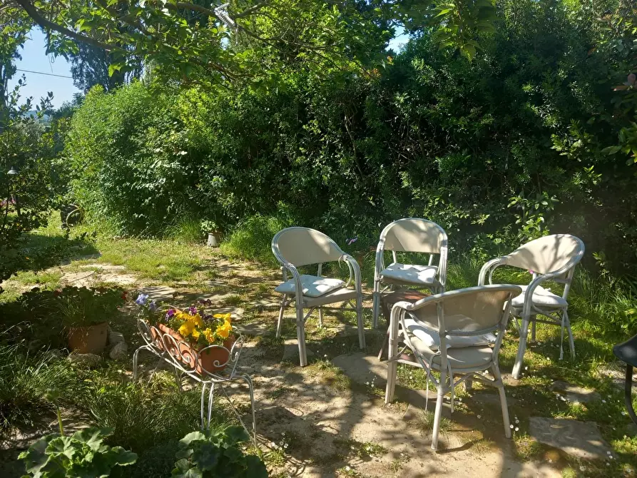 Immagine 52 di Terratetto in vendita  a Rosignano Marittimo