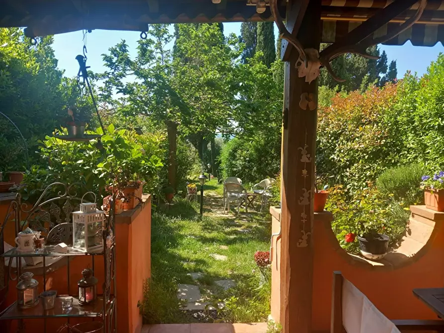 Immagine 50 di Terratetto in vendita  a Rosignano Marittimo