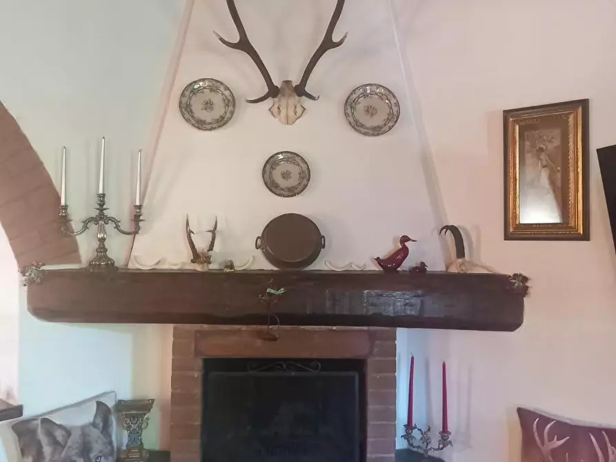 Immagine 24 di Terratetto in vendita  a Rosignano Marittimo