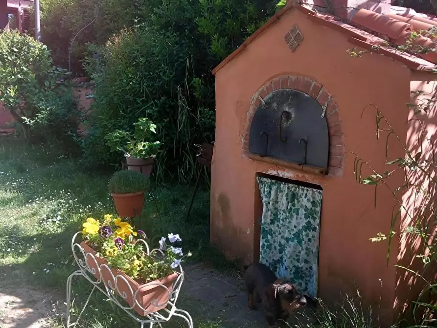 Immagine 53 di Terratetto in vendita  a Rosignano Marittimo