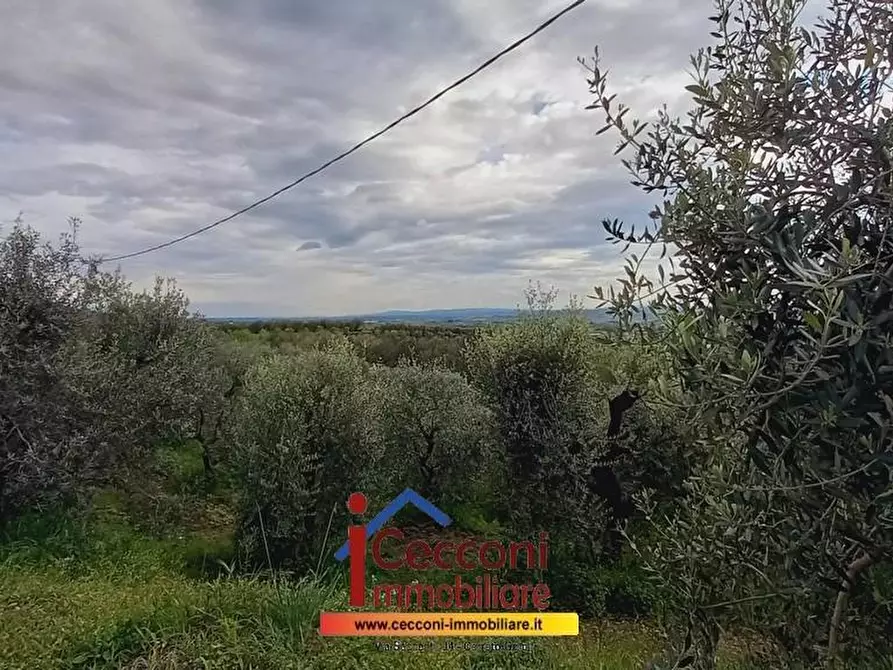 Immagine 21 di Appartamento in vendita  a Lamporecchio