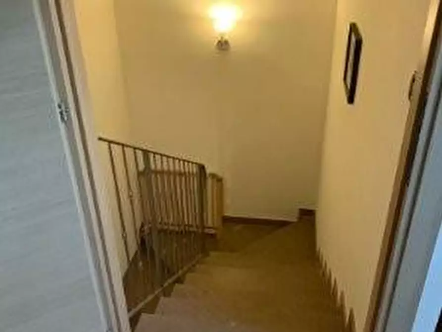 Immagine 23 di Casa bifamiliare in vendita  a Fauglia