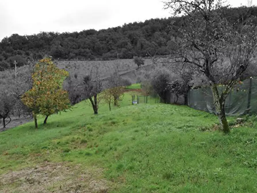 Immagine 27 di Villa in vendita  a Cavriglia