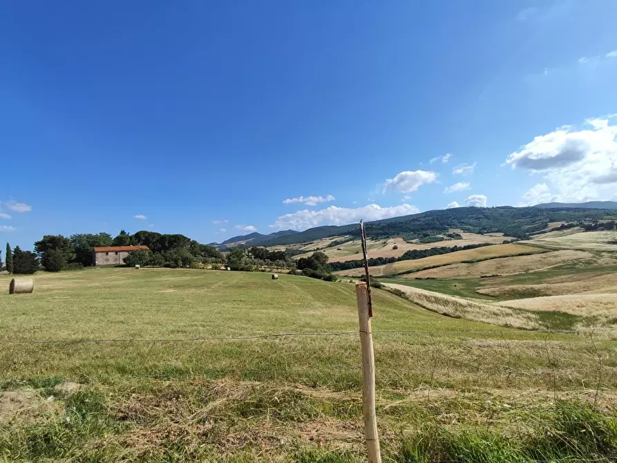 Immagine 3 di Casa bifamiliare in vendita  a Lajatico