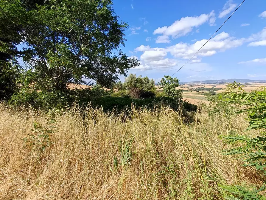 Immagine 6 di Casa bifamiliare in vendita  a Lajatico