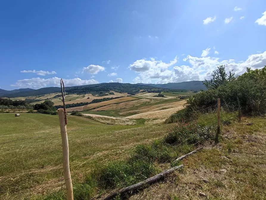 Immagine 2 di Casa bifamiliare in vendita  a Lajatico
