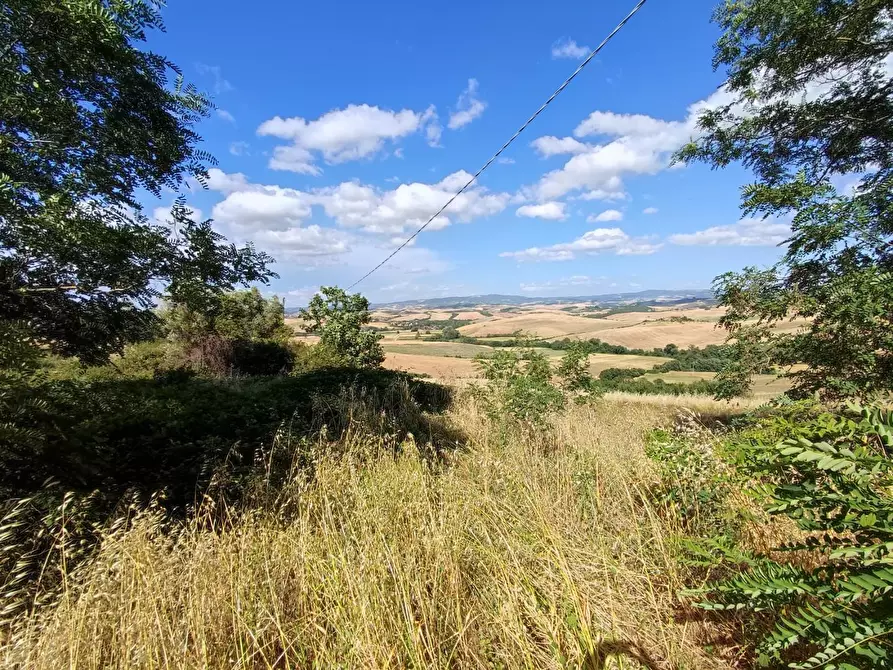 Immagine 7 di Casa bifamiliare in vendita  a Lajatico