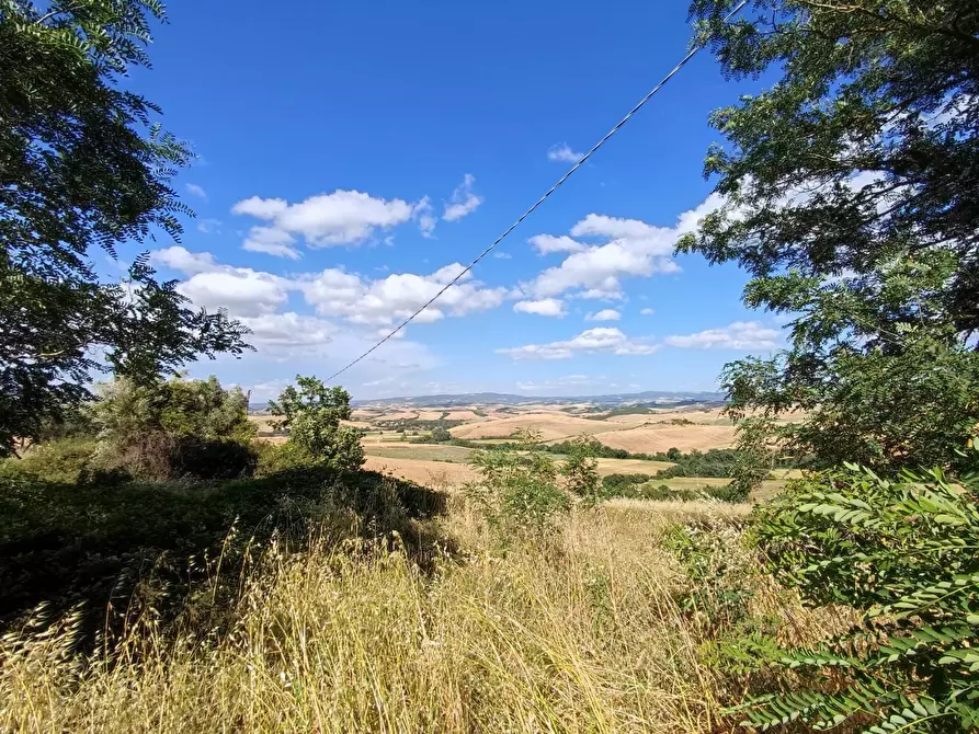 Immagine 8 di Casa bifamiliare in vendita  a Lajatico