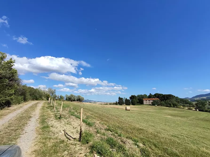 Immagine 9 di Casa bifamiliare in vendita  a Lajatico