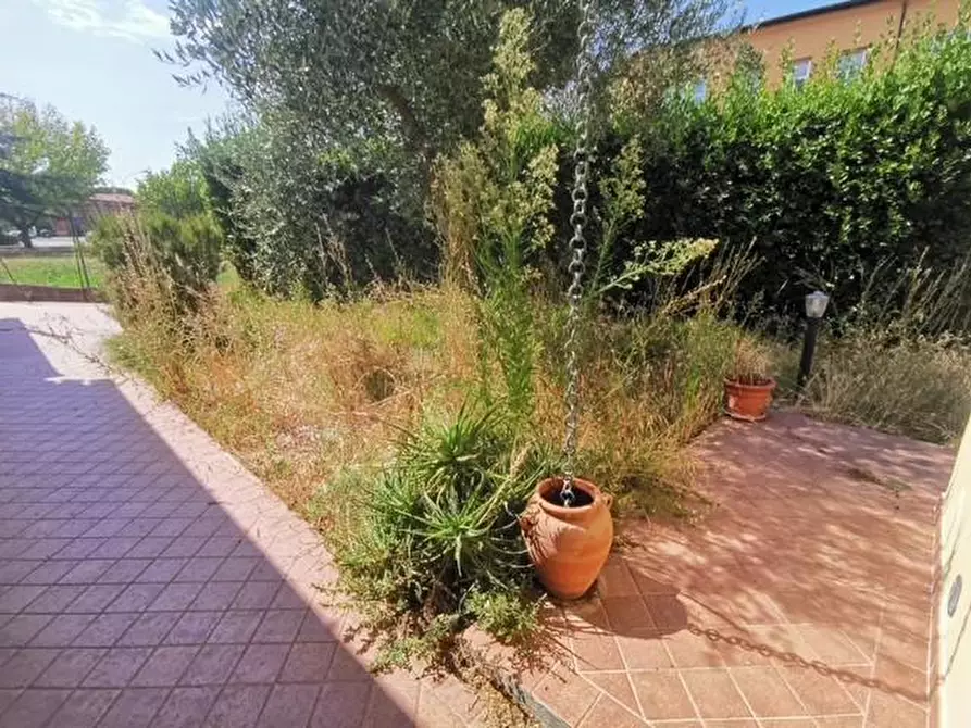 Immagine 11 di Terratetto in vendita  a San Giuliano Terme