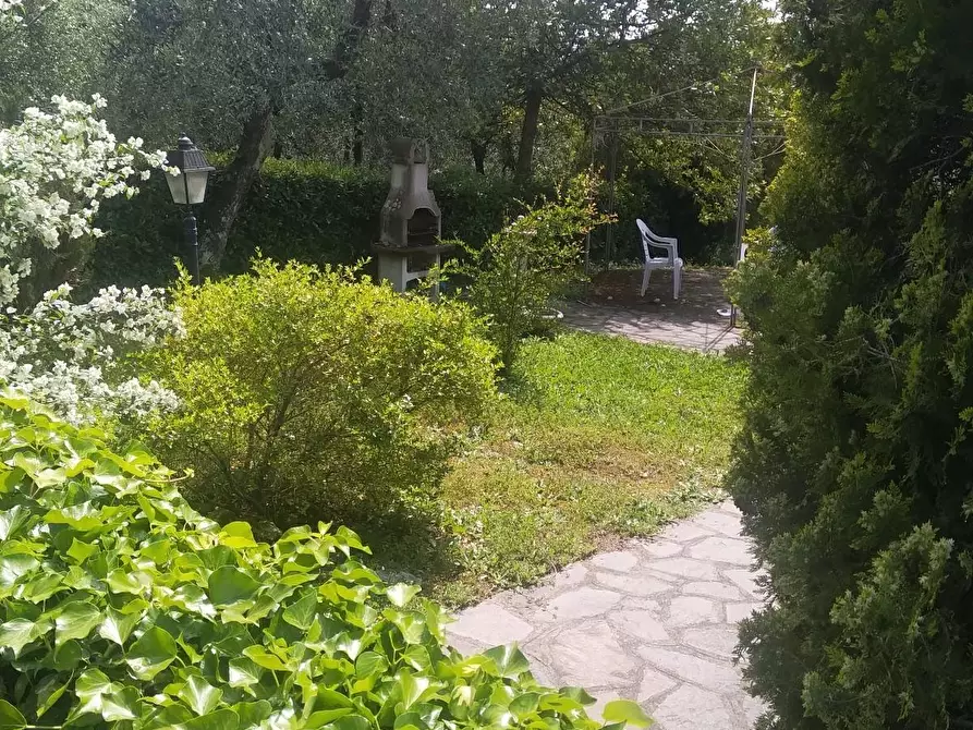 Immagine 2 di Villa in vendita  a Montopoli In Val D'arno