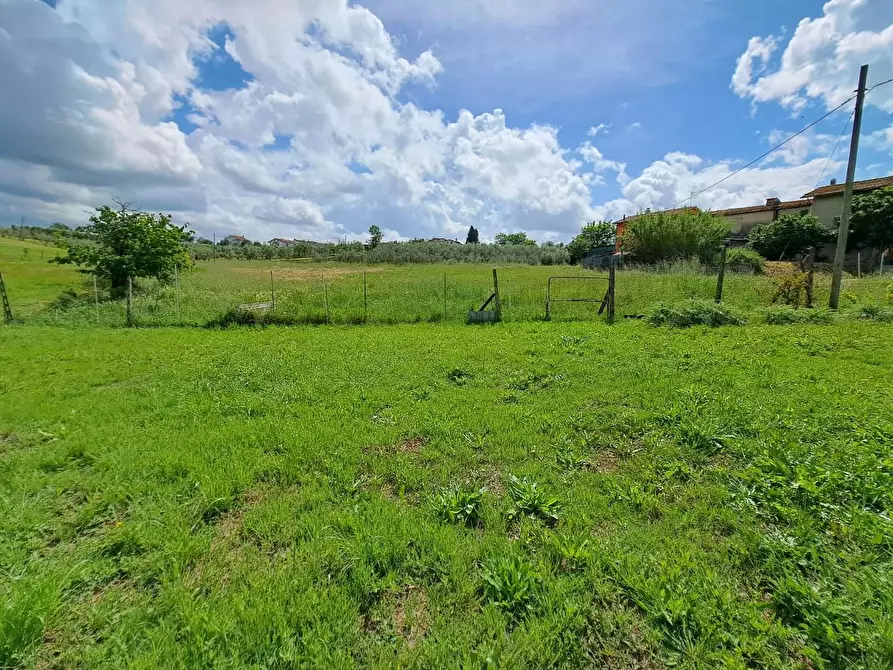 Immagine 5 di Terratetto in vendita  a Cerreto Guidi
