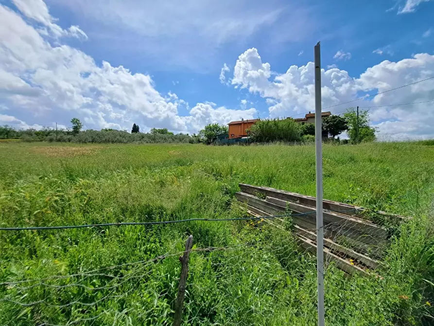 Immagine 6 di Terratetto in vendita  a Cerreto Guidi