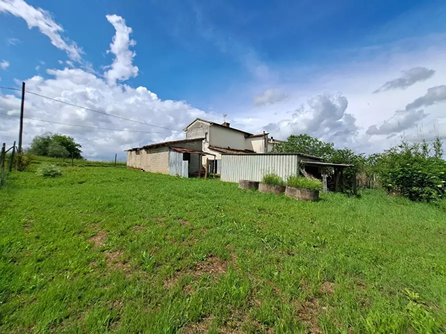 Immagine 4 di Terratetto in vendita  a Cerreto Guidi