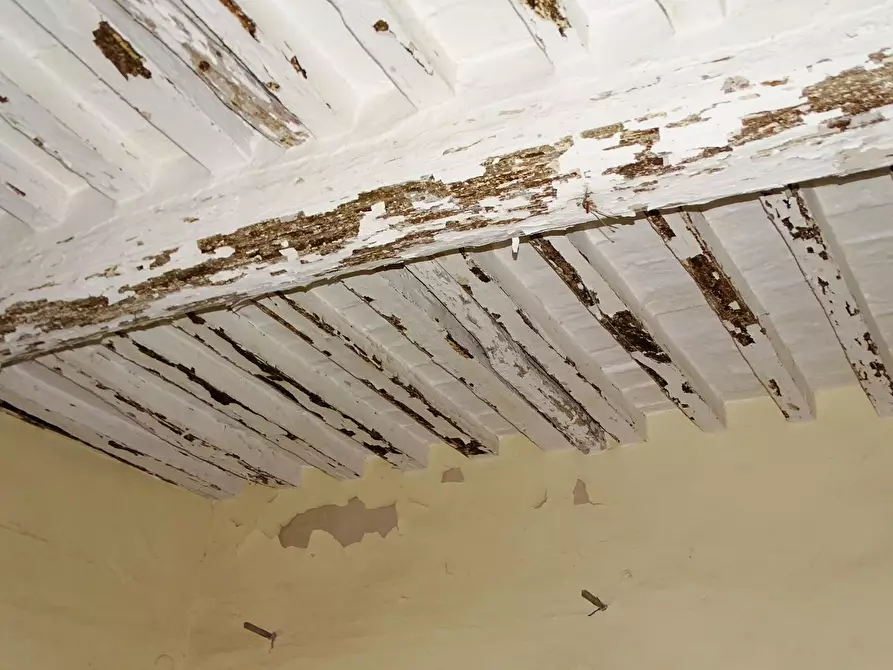 Immagine 13 di Appartamento in vendita  a San Miniato