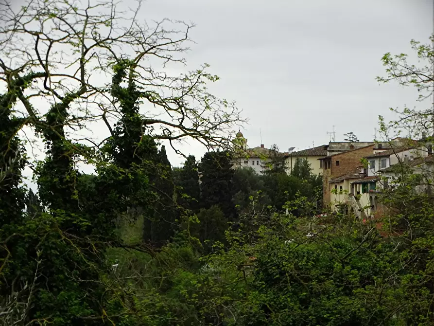 Immagine 8 di Appartamento in vendita  a San Miniato