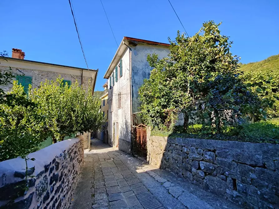 Immagine 7 di Casa semindipendente in vendita  a Licciana Nardi