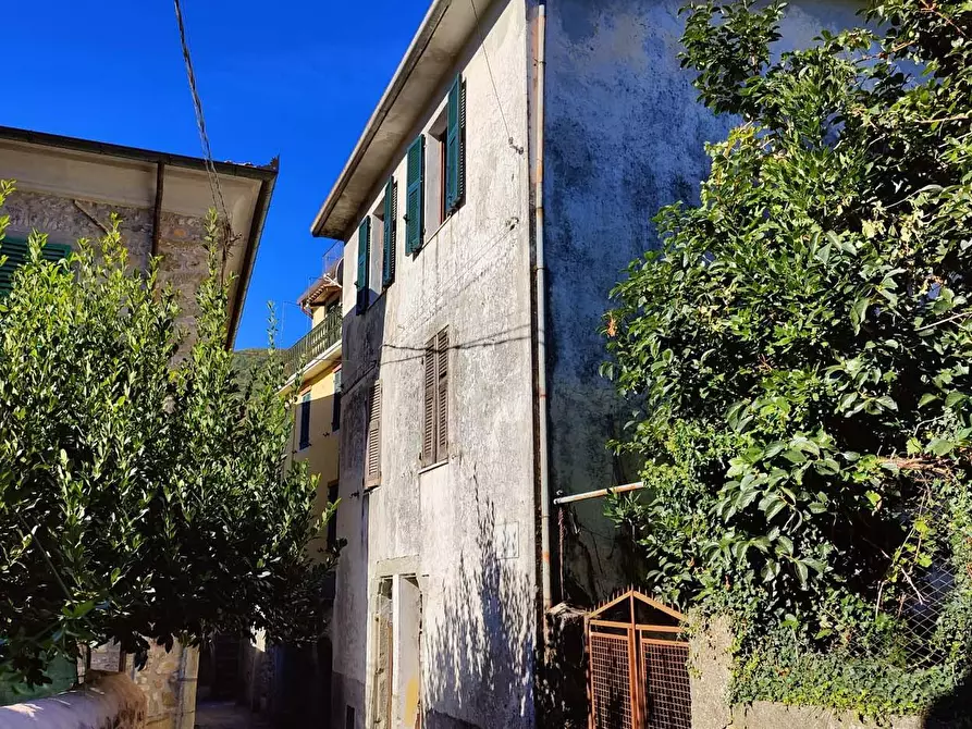 Immagine 6 di Casa semindipendente in vendita  a Licciana Nardi