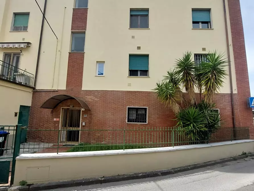 Immagine 12 di Appartamento in affitto  a Pisa