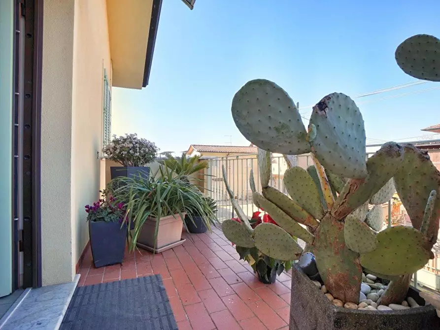 Immagine 3 di Appartamento in vendita  a Massa