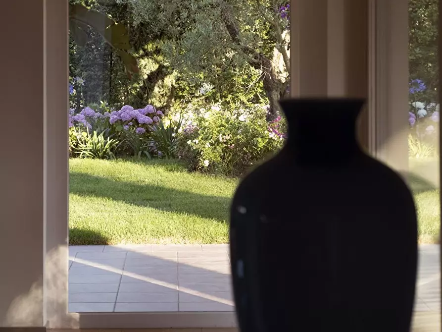 Immagine 59 di Villa in affitto  a Forte Dei Marmi