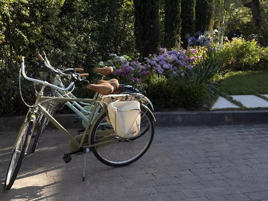 Immagine 54 di Villa in affitto  a Forte Dei Marmi